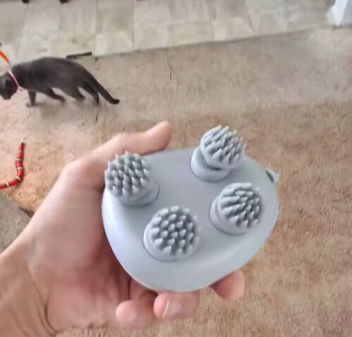 Household Cat Pet Head Massager Home photo review