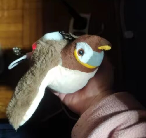 Interactive Chirping Bird Toy for Indoor Cats photo review