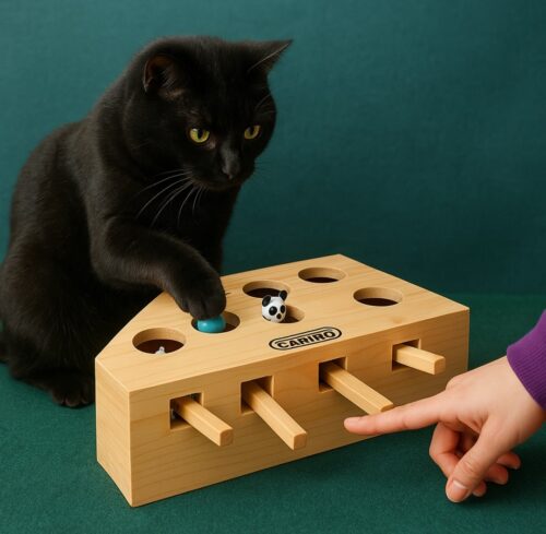 Smart Wooden Hamster Toy for Cats photo review